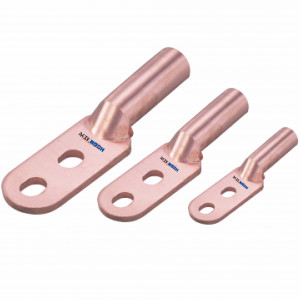 DTS˫��ͭ���½��߶���